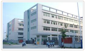 強強聯手，共拓國際市場——東莞億網與東莞市寶順國際貿易有限公司簽約成功